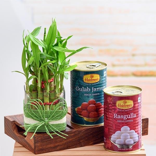 Celebrate Happiness with 2 Layer Lucky Bamboo and Sweets - Flower Delivery in GiftsGhaziabad