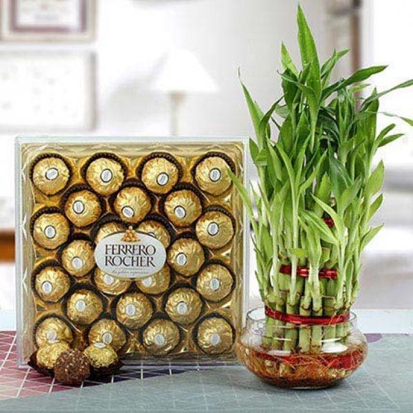 Ferrero Rocher with Three Layer Bamboo Plant