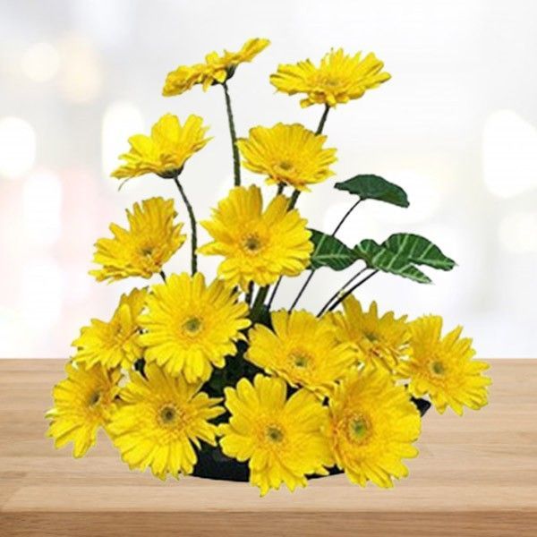 Yellow Gerbera Flower Basket Arrangement