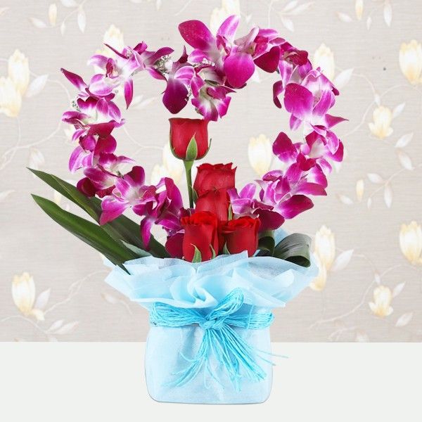 Gorgeous Orchids
