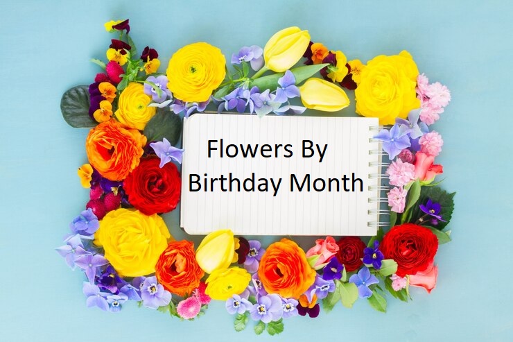 Birthday Flowers For Every Month