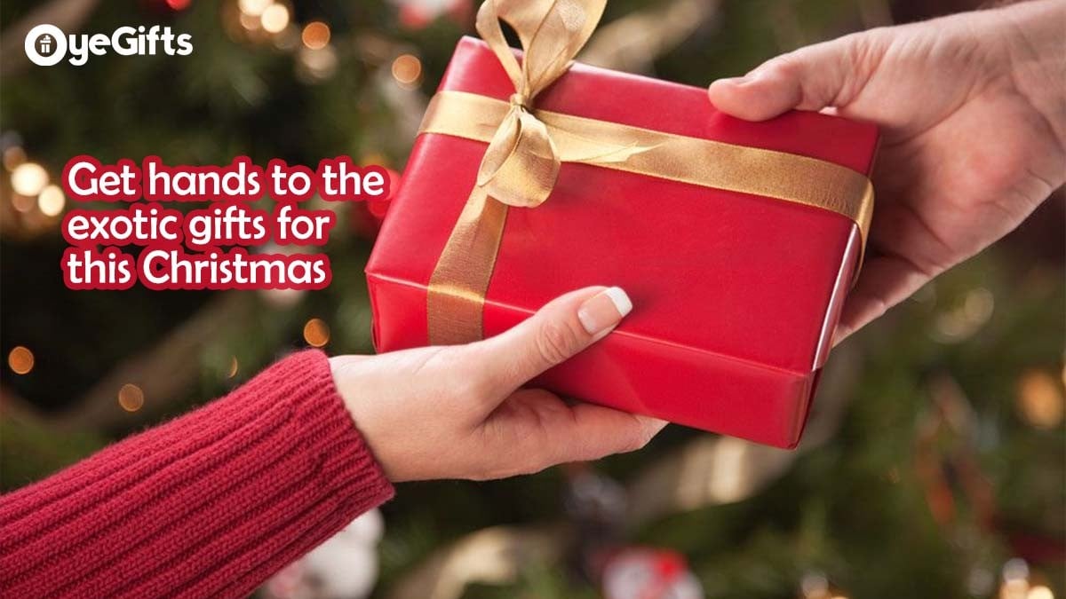 Get hands to the exotic gifts for this Christmas!||||||||