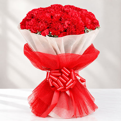 10 Red Carnations Bouquet