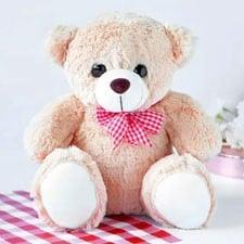 12 Inch Teddy (Addons)  (*Design may vary)