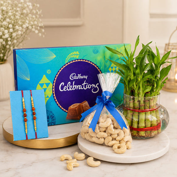 2 Rakhi Set with Bamboo Plant, Cashews & Cadbury Celebrations