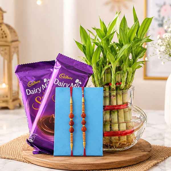 2 Rakhis with Lucky Bamboo Plant & Dairy Milk Silk Combo