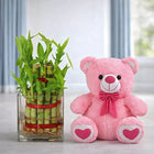 2 Layer Bamboo Plant with 6 Inch Teddy customer review image