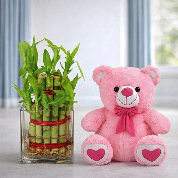 2 Layer Bamboo Plant with 6 Inch Teddy - Anniversary Gift in GiftsGhaziabad
