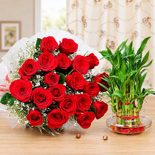 20 Red Roses Bouquet with 3 Layer Lucky Bamboo Plant
