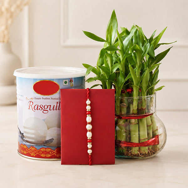 3 Layer Lucky Bamboo Plant with 1 Kg Rasgulla & Elegant Rakhi
