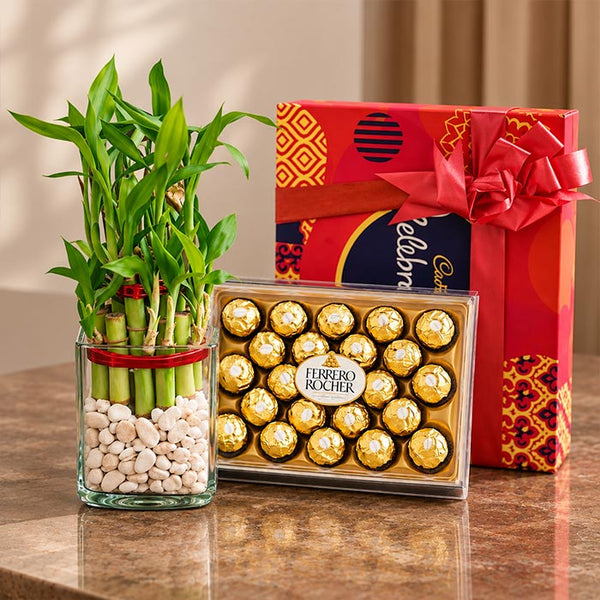3 Layer Lucky Bamboo with Ferrero Rocher & Celebrations