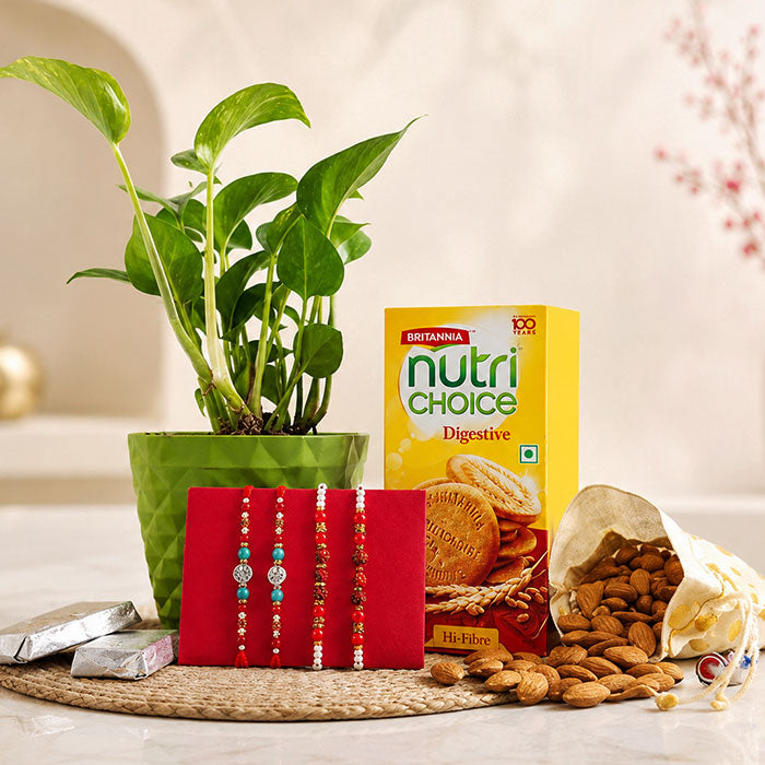 4 Silver And Rudraksha Rakhi Set With Money Plant Combo