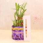 Rakhi with Chocolate Bamboo customer review image