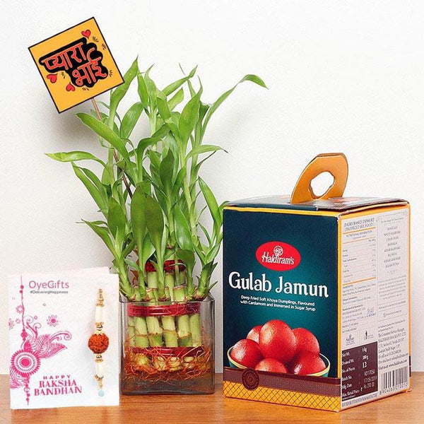 Bamboo plant, Gulab Jamun box, and Raksha Bandhan card on a wooden surface