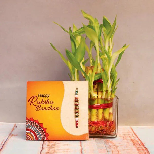 Bamboo plant in a glass vase with a 'Happy Raksha Bandhan' card on a wooden surface.