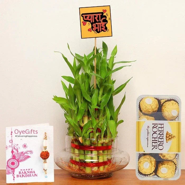 Designer Rakhi Bamboo Plant N Chocolates