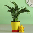 Peace Lily Plant with Lord Ganesha Idol customer review image