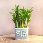 Good Morning Sir customer review image