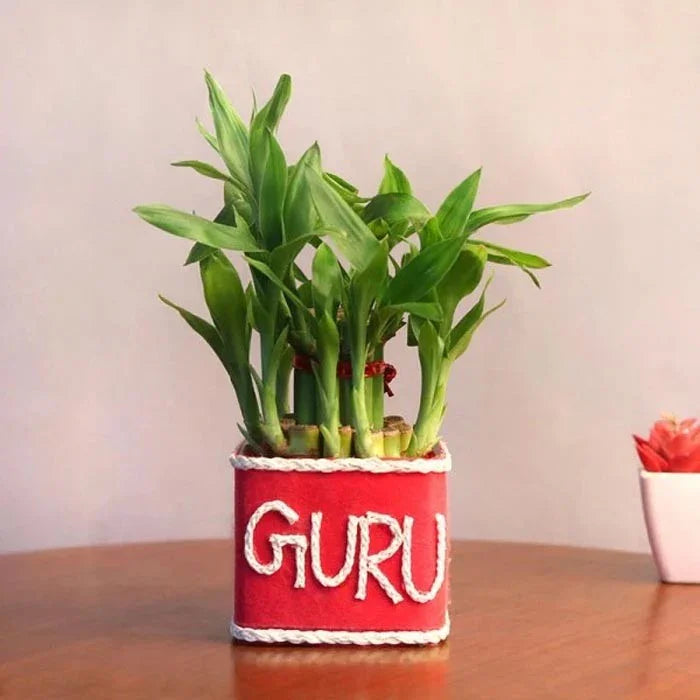 Potted plant with 'GURU' text on a wooden surface