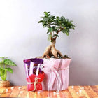 Delightful Surprise Bonsai Gift customer review image