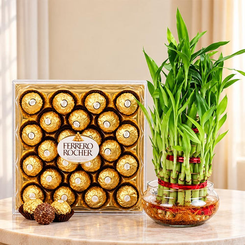 Bamboo Plant with 24 Ferrero Rocher Chocolates