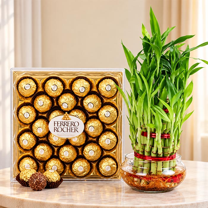 Bamboo Plant with 24 Ferrero Rocher Chocolates
