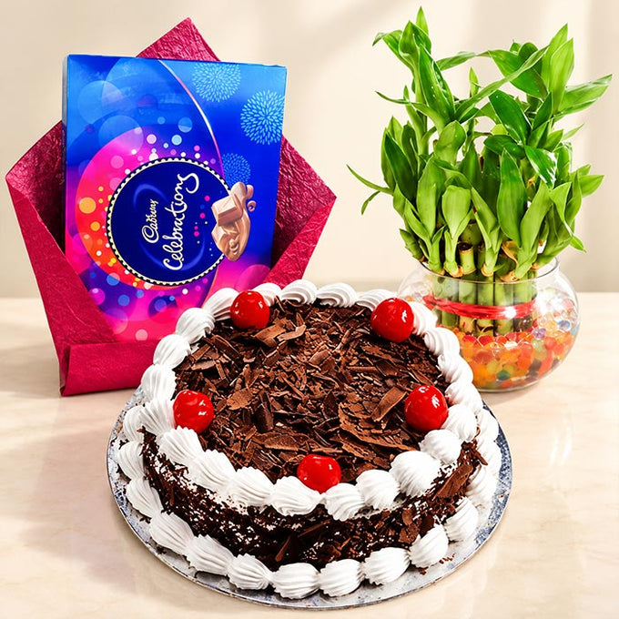 Black Forest Cake with Small Bamboo Plant