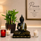 Buddha N Lucky Bamboo Plants customer review image