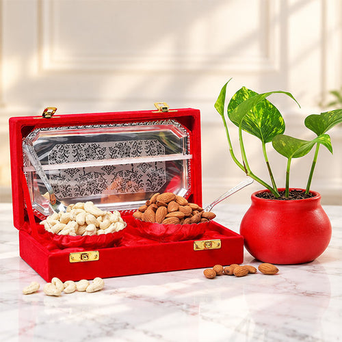 Cashews Almonds & Money Plant Gift Box