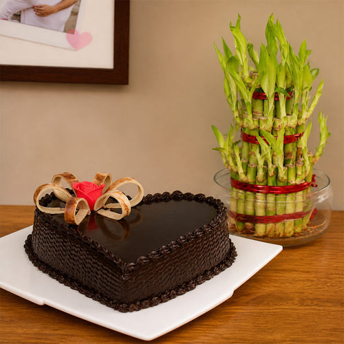Chocolate cake with heart design and a bamboo plant on a table.