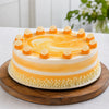 Holi Special Cake Online