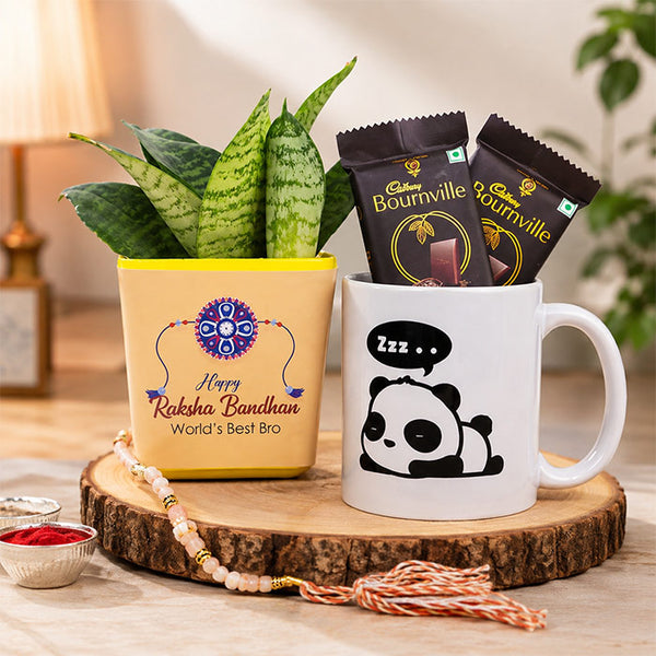 Designer Brother Rakhi With Mug N Snake Plant