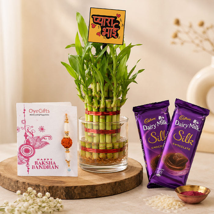 Designer Rakhi With Dairy Milk Silk Bars N Bamboo Plant