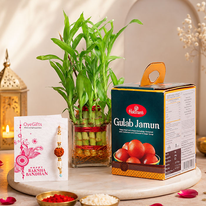 Designer Rakhi With Gulab Jamun N Bamboo Plant
