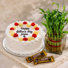 2 Layer Lucky Bamboo Plant with Half Kg Pineapple Cake & 2 Five Star Chocolates customer review image