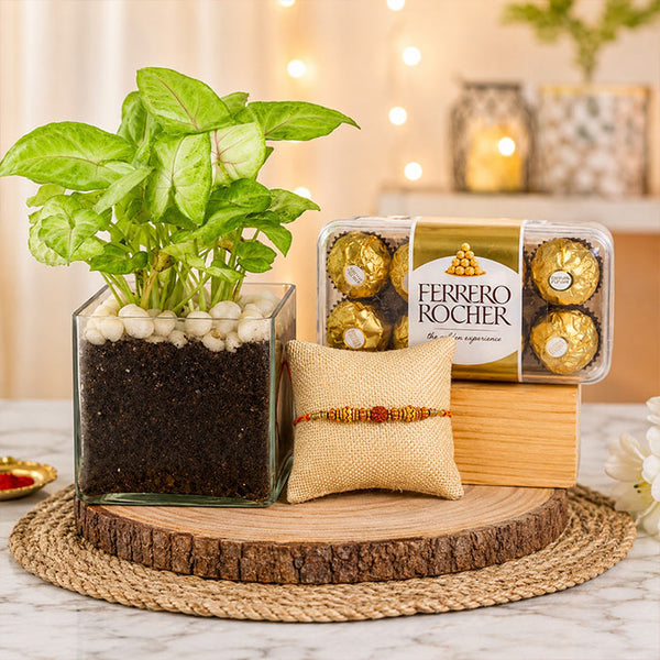 Ferrero Green Rakhi Set