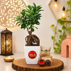 Ficus Bonsai With Rakhi customer review image