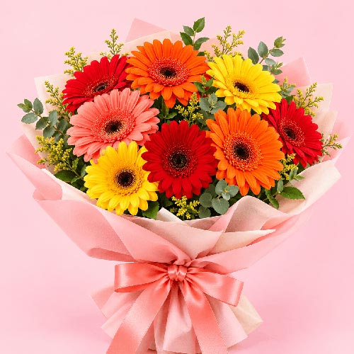 Gerberas