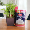 Christmas Gift Hampers Online