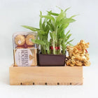 Heartening Gift Hamper customer review image