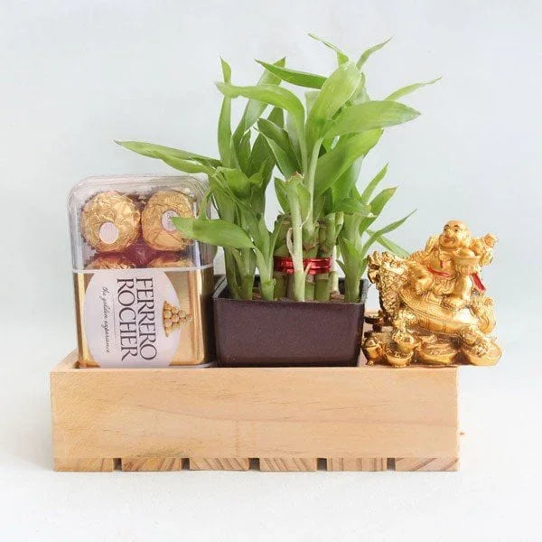 Lucky Bamboo Plant with Ferrero Rocher, Laughing Buddha & Wooden Tray