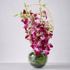 Purple Orchids in 5-Inch Glass Vase with Dry Sticks customer review image