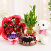 Flowers and Cake For Anniversary