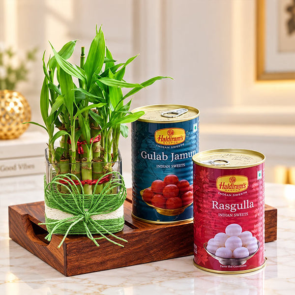Layer Bamboo Plant with Haldiram's Sweets | OyeGifts