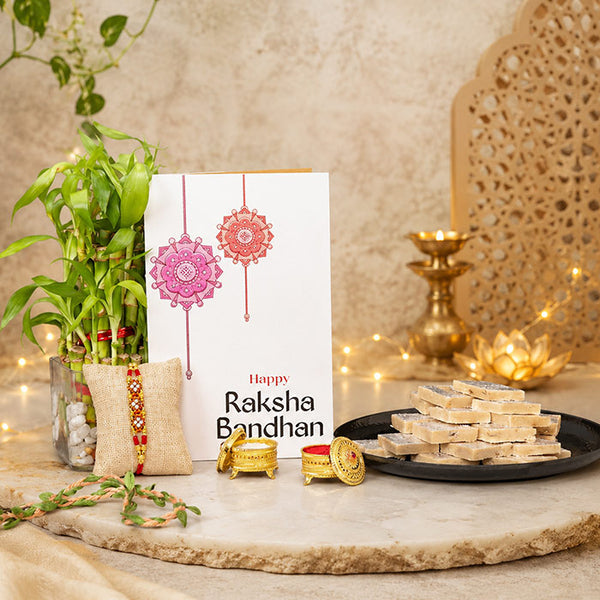 Lucky Bamboo Plant With Bead Rakhi N Kaju Katli