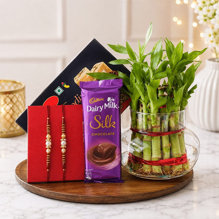 Lucky Bamboo Plant with 2 Elegant Rakhis, Dairy Milk Silk & Soan Papdi