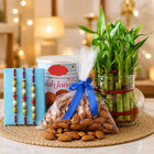 Lucky Bamboo Plant with 3 Rakhis, Almonds & 1 Kg Gulab Jamun customer review image