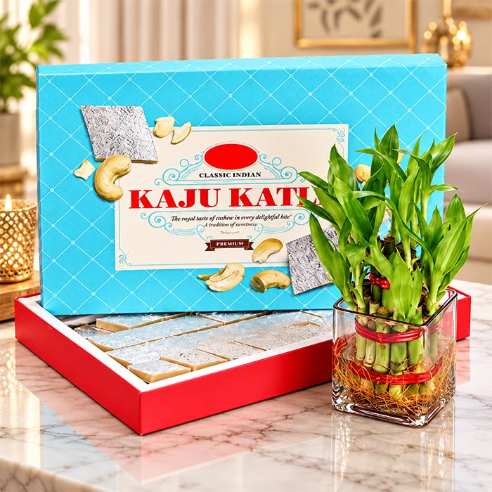 Lucky Bamboo Plant with 400g Kaju Katli Gift Hamper