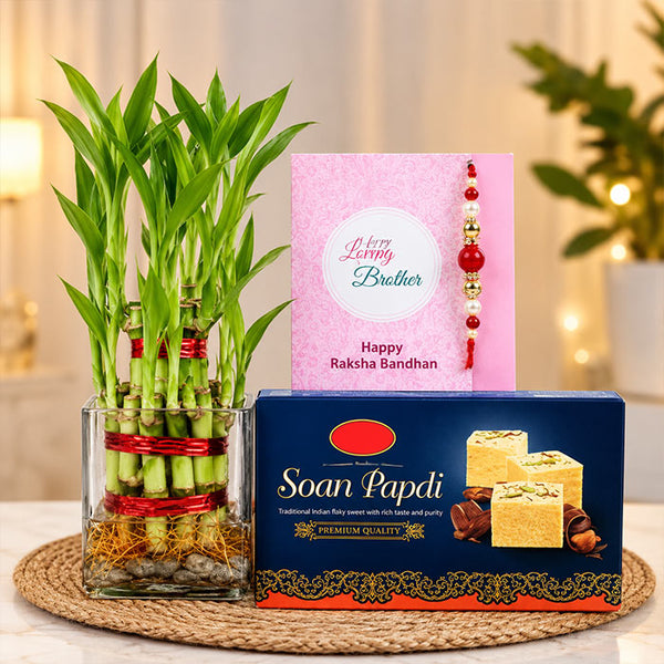 Lucky Bamboo Plant with Designer Rakhi & 500g Soan Papdi Gift Combo