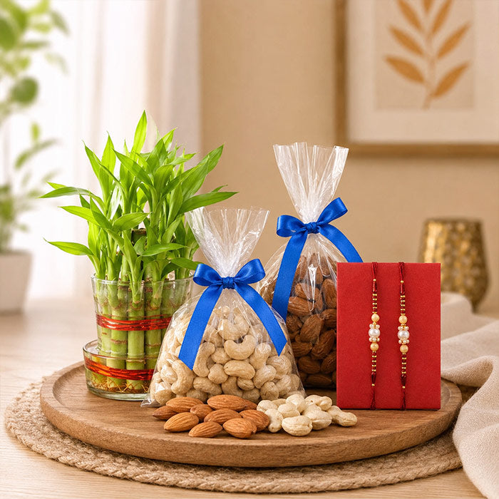 Lucky Bamboo Plant with Dry Fruits & 2 Rakhi Gift Set